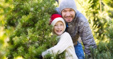 best cut your own christmas tree farms