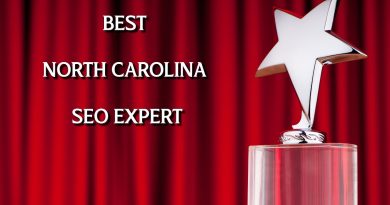 best north carolina seo expert award